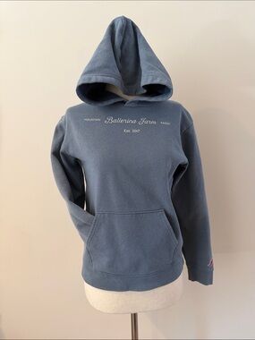 Youth Blue Hooded Pullover